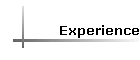 Experience