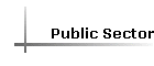 Public Sector