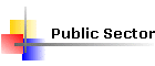 Public Sector